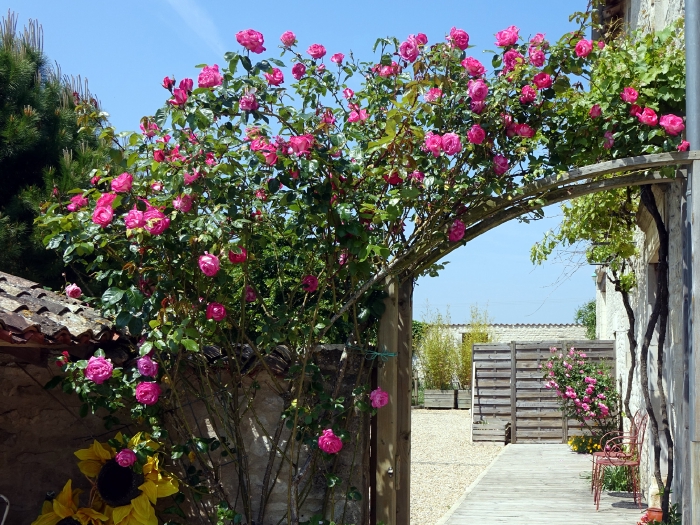 Entrée fleurie du gîte de la tourterelle