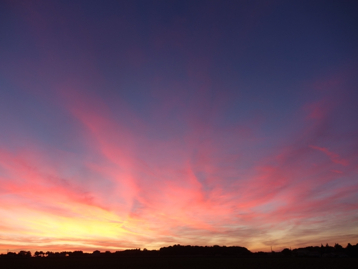 Couché de soleil autour du domaine de chnate-oiseau en Charente